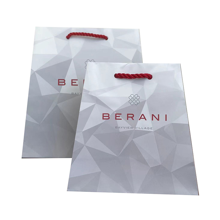 Luxury Shopping Bags