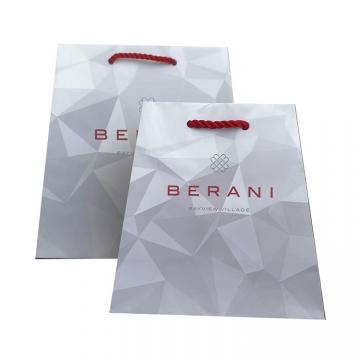 Luxury Shopping Bags